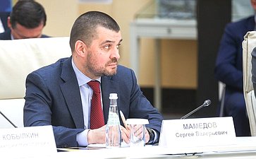 Заседание Комиссии Государственного Совета РФ по направлению «Экологическое благополучие». XI Невский международный экологический конгресс