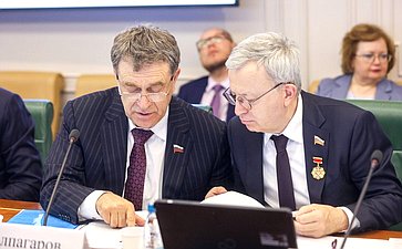 Заседание Комитета Совета Федерации по бюджету и финансовым рынкам