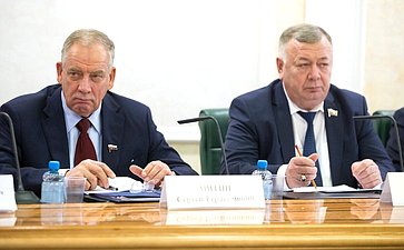 С. Митин и В. Николаев