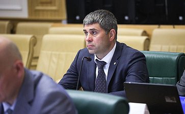Заседание Комитета Совета Федерации по бюджету и финансовым рынкам