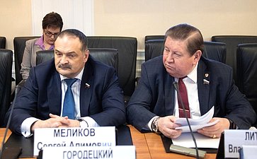 Сергей Меликов и Владимир Литюшкин