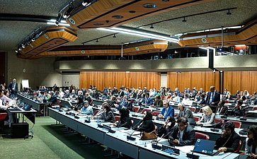 Сенаторы РФ приняли участие в заседании Постоянного комитета по вопросам демократии и прав человека Межпарламентского союза