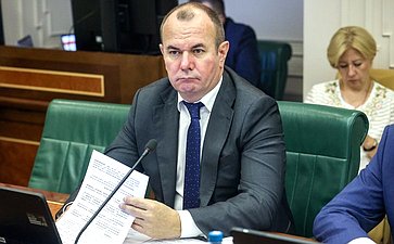 Заседание Комитета Совета Федерации по международным делам