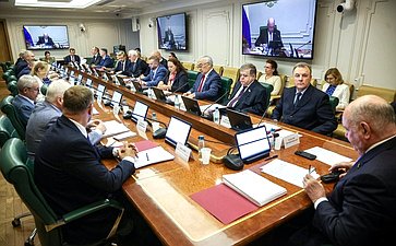 Заседание Комитета Совета Федерации по международным делам