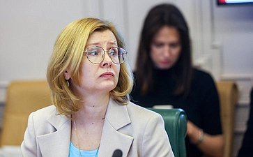 Григорий Карасин провел встречу с заместителем Председателя Сената Парламента Малайзии Нуром Джазланом Мохамедом