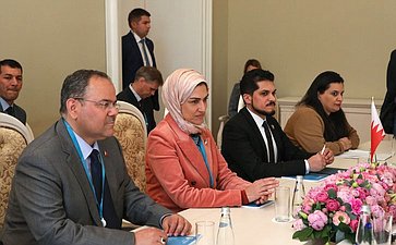 Встреча В. Матвиенко с Генеральным секретарем Верховного совета по делам женщин Королевства Бахрейн Халой Аль-Ансари