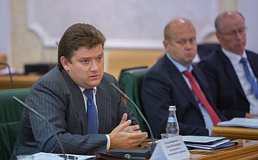 Заседание Комитета по Бюджету и финансовым рынкам-4 Журавлев