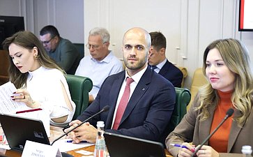 Александр Варфоломеев провел встречу с делегацией Законодательного Собрания Северо-Западной провинции Южно-Африканской Республики при участии Палаты молодых законодателей при Совете Федерации