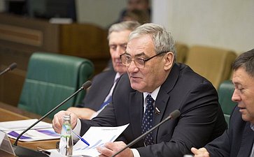 В. Штыров на заседании Временной комиссии СФ по мониторингу экономического развития