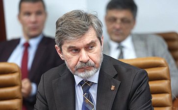 Заседание Экспертного совета по физической культуре и спорту при Комитете Совета Федерации по социальной политике