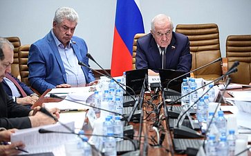 Совещание Комитета Совета Федерации по обороне и безопасности «О концептуальных основах обеспечения военной безопасности Российской Федерации»