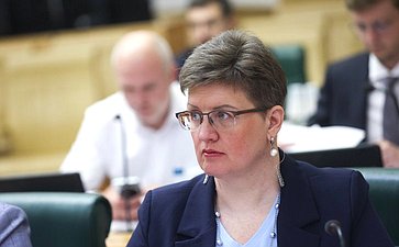 Заседание экспертно-консультативного совета при Комитете Совета Федерации по конституционному законодательству и государственному строительству