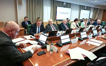 Заседание Комитета Совета Федерации по международным делам