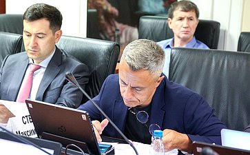 Заседание Комитета Совета Федерации по федеративному устройству, региональной политике, местному самоуправлению и делам Севера