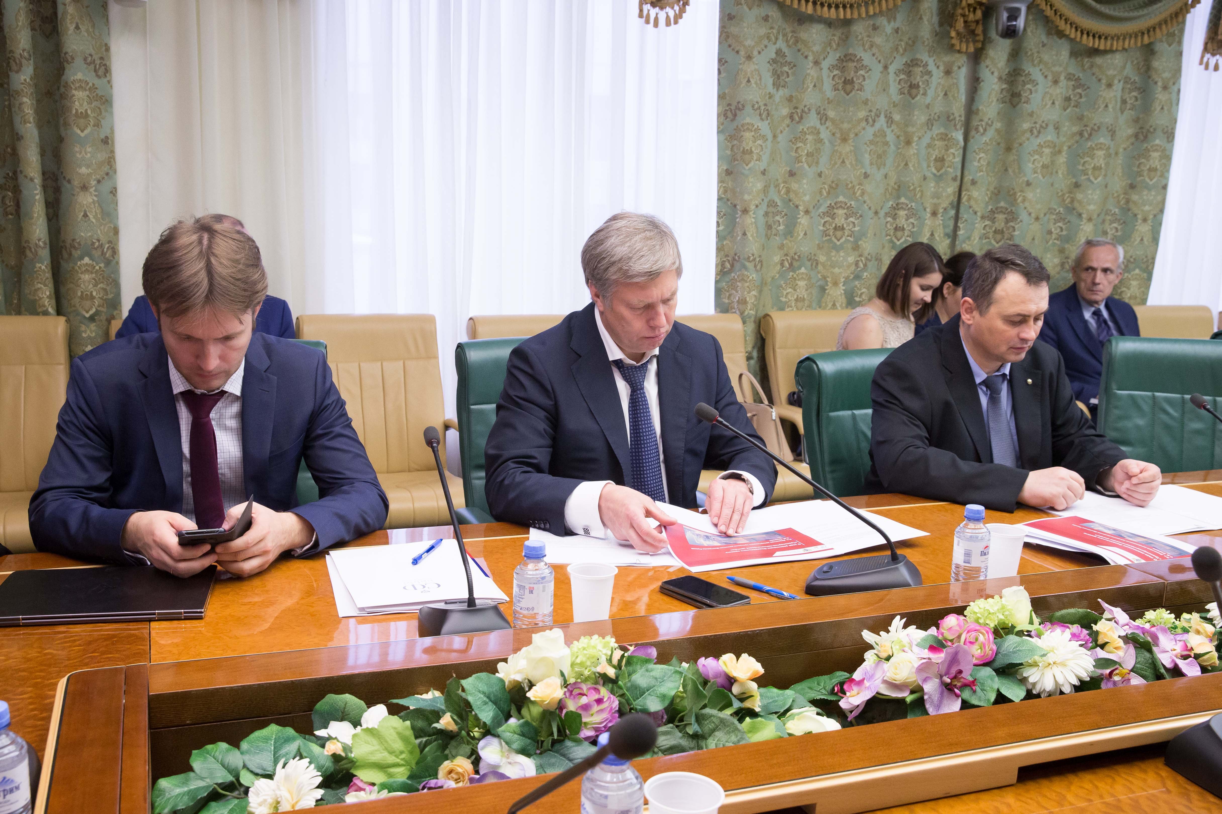 В Совете Федерации обсудили ход реализации федеральных проектов ...