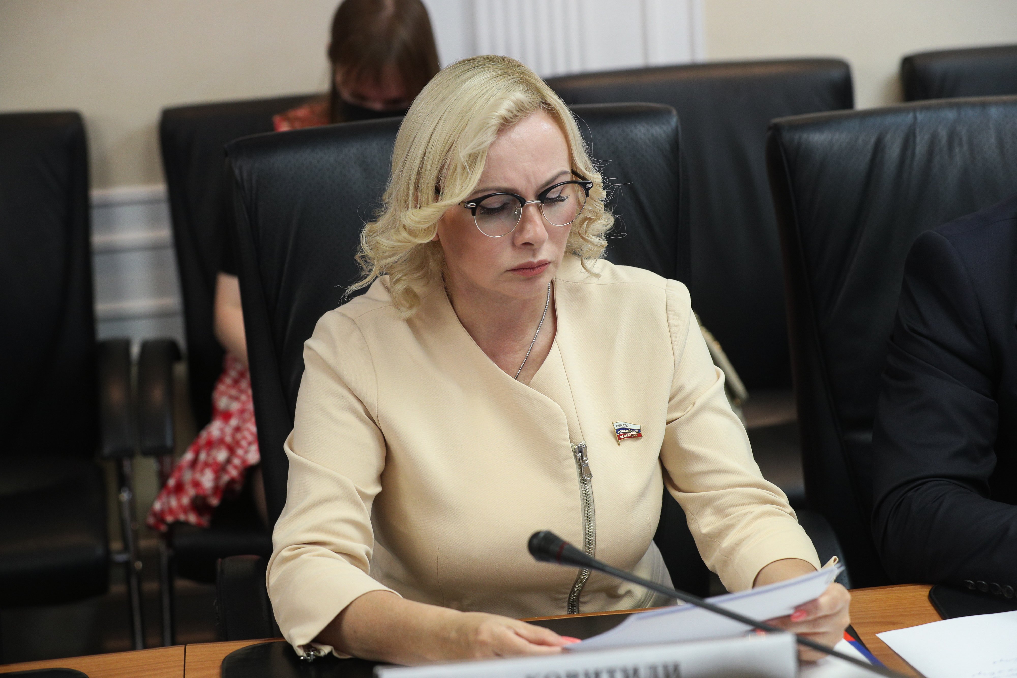 Состоялось заседание мониторинговой группы Временной комиссии СФ по ...