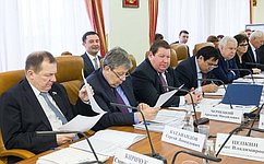 Профильный Комитет СФ обсудил развитие системы местного самоуправления в Челябинской области