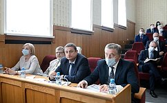 С. Лукин: В непростой год пандемии правительство Воронежской области сработало эффективно