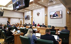 Сенаторы обсудили подготовку к «правчасу» об экологическом оздоровлении водных объектов и развитии мелиоративного комплекса РФ