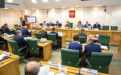 Г. Карелова: Совет Федерации активно содействует расширению возможностей регионов Арктической зоны
