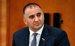 М. Ахмадов выступил на парламентских слушаниях о развитии кадрового потенциала в туристической отрасли