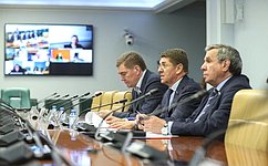 В Совете Федерации обсудили актуальные вопросы координации социально-экономического развития муниципальных образований в рамках агломераций