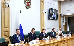В Совете Федерации обсудили актуальные вопросы развития газификации Дальневосточного федерального округа – А. Ролик