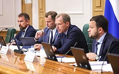 А. Кутепов: Сенаторы планируют подготовить поправки в нормативные акты, касающиеся вопросов обновления авиапарка