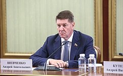 А. Шевченко: Вопрос формирования системы технического учета состояния жилых домов поставлен на парламентский контроль