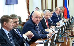 Federation Council Committee on Foreign Affairs discusses practical aspects of strengthening cooperation with foreign parliaments