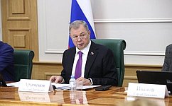 Сбалансированость бюджета Новгородской области рассмотрел Комитет СФ по бюджету и финансовым рынкам