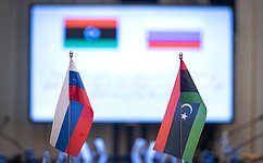 В Совете Федерации призывают ливийцев решать внутренние разногласия путем инклюзивного диалога — В. Матвиенко