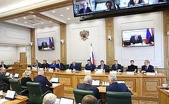 Сенаторы обсудили ключевые направления доклада Генерального прокурора РФ