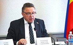 В. Тимченко: Планируется продлить полномочия Правительства РФ по установлению особого порядка госконтроля в новых регионах