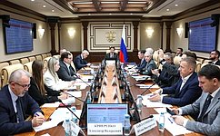 А. Шейкин провел круглый стол, посвященный регулированию использования средств индивидуальной мобильности