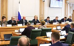 Комитет СФ по науке, образованию и культуре обсудил подготовку к «правительственному часу» с участием Д. Чернышенко
