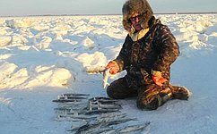 Рыболовы в законодательных сетях