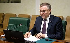 А. Варфоломеев и В. Джабаров приняли участие в заседании Комитета по международным делам Палаты молодых законодателей при СФ