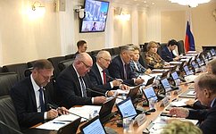 Сенаторы и эксперты рассмотрели законодательное обеспечение реализации стратегических интересов РФ в Африке