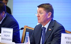 А. Шевченко: Сохранение историко-культурного наследия в малых городах способствует решению задач стратегии пространственного развития страны