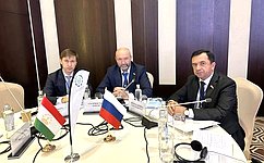 И. Новиков: Россия готова делиться опытом лесовосстановления