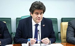 А. Высокинский: Обсудили конкретные предложения по поддержке сегмента малоэтажного жилищного строительства в регионах