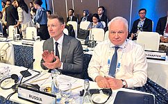 Russian senators take part in a Parliamentary Conference held as part of the 10th World Water Forum