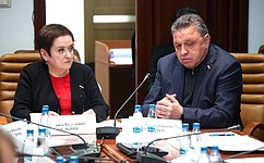 Сенаторы и эксперты изучили перспективные ИТ-решения для социализации участников СВО
