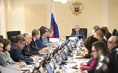 Комиссия СФ рассмотрела факты преследования россиян за рубежом и новации в законодательстве об иноагентах