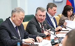 Сенаторы и эксперты проанализировали итоги первого года федерального проекта «Региональная и местная дорожная сеть»