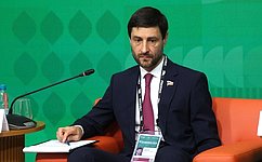 А. Синицын: Осталось подключить к сети Интернет менее 1 проц. фельдшерско-акушерских пунктов