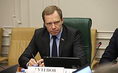 Поддержку инвестиционного процесса в Нижегородской области обсудил Комитет СФ по экономической политике