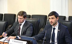 Совершенствование законодательства о государственно-частном партнерстве обсудили в Совете Федерации