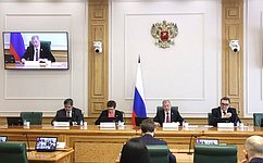 Ход исполнения мероприятий национальных проектов рассмотрели в Совете Федерации